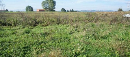 Terreno Agricolo nel Comune di Pescia (PT)