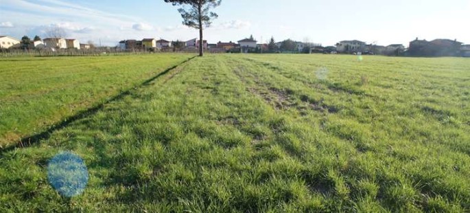 Due Fabbricati da Ristrutturare con Terreno a Chiesina Uzz. (PT) Due Fabbricati da Ristrutturare con Terreno a Chiesina Uzz. (PT)
