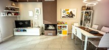 imm_8387-1224-