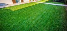 imm_8409-1224-