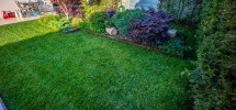 imm_8413-1256-