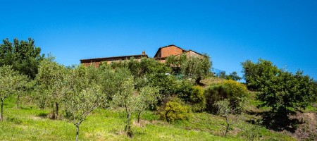 Tenuta Agricola a Montecarlo (LU) Tenuta Agricola a Montecarlo (LU)