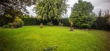 imm_9157-1280-