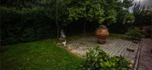 imm_9159-1280-