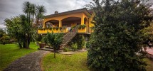 imm_9162-1280-