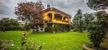 imm_9164-1280-