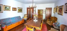 imm_9890-1224-