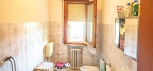 imm_9893--1224