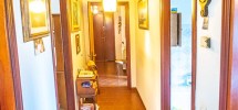 imm_9899--1213