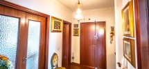 imm_9900-1224-