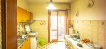 imm_9902-1224-
