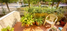 imm_9905-1224-