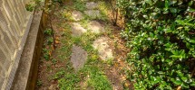 imm_9906--1224