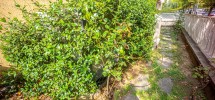 imm_9907-1224-