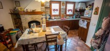 imm_10107-20220408102857-1224-