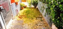 imm_10196-20220622113109--1224